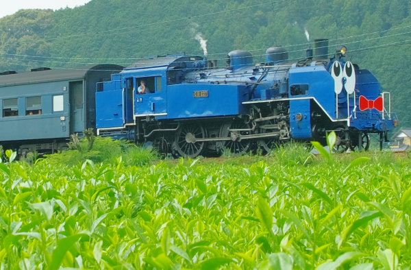 AAAP8124b.jpg