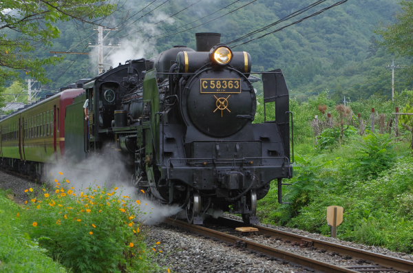 AAAP8494.jpg