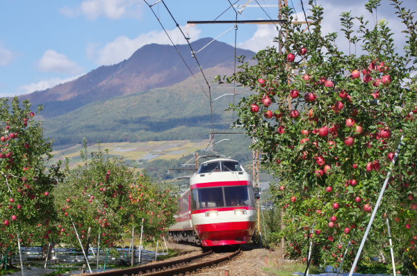 リンゴと長野電鉄特急ゆけむり