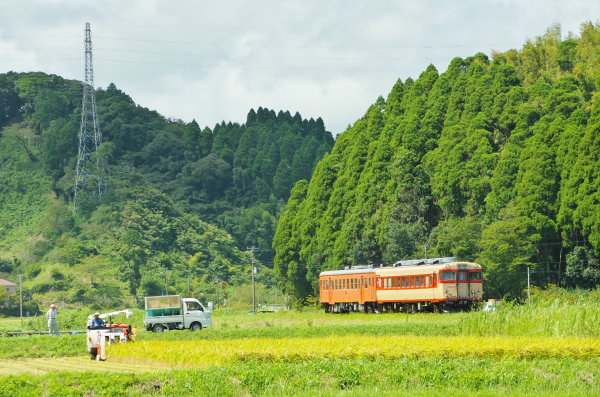 稲刈りの頃〜いすみ鉄道