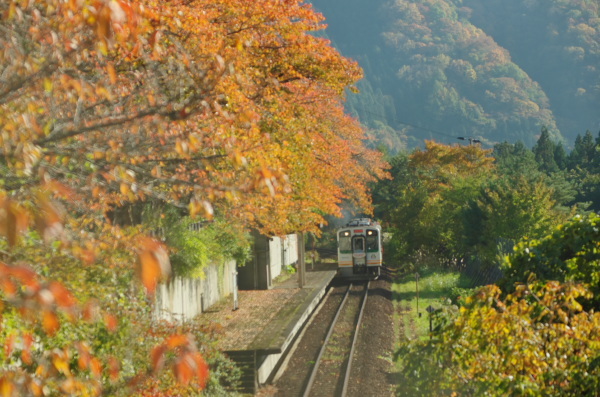 紅葉の会津鉄道