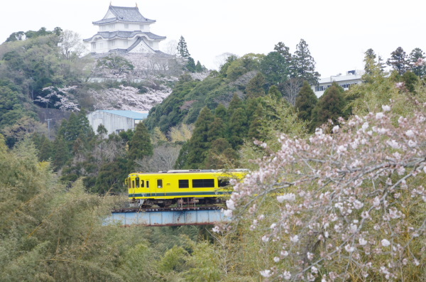 桜〜いすみ鉄道