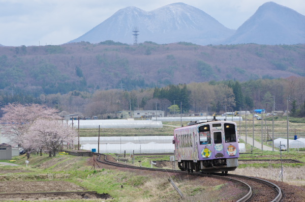 会津鉄道に乗って桜見物
