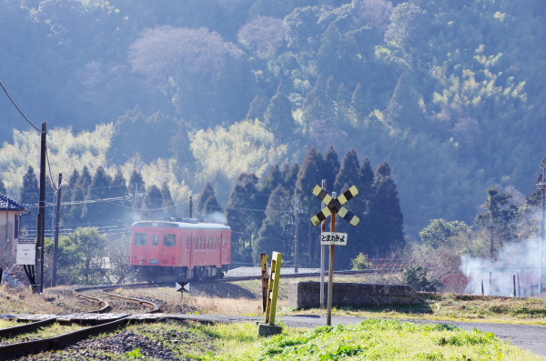 キハ52単行〜いすみ鉄道