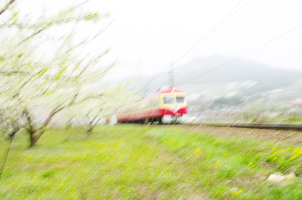 AMGP6913.jpg