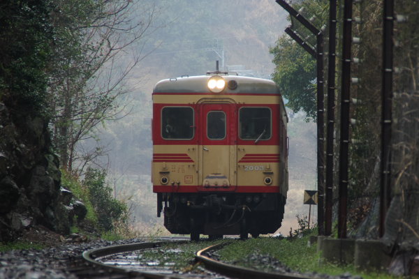島原鉄道 キハ20型 3両セット (箱無し) Nゲージ 島原鉄道キハ20形タイプ 3両セット｜トレファクONLINE