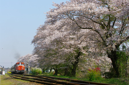 IMGP4396.jpg